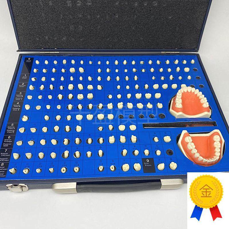 口腔齿科备牙g模型牙体制备窝洞义齿加工模型技工牙体预备展示模