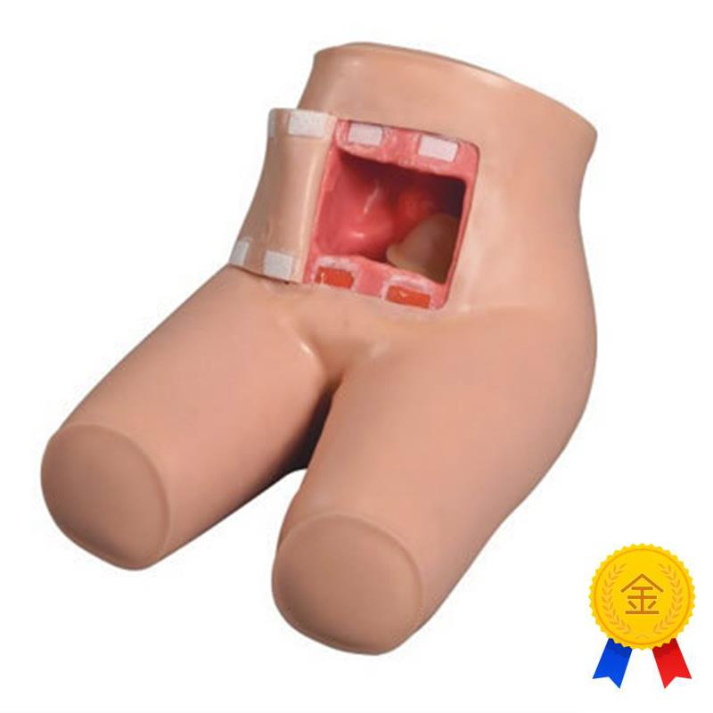 高级辅助排便和灌肠练习v模型肛门检查模型灌肠护理练习模型