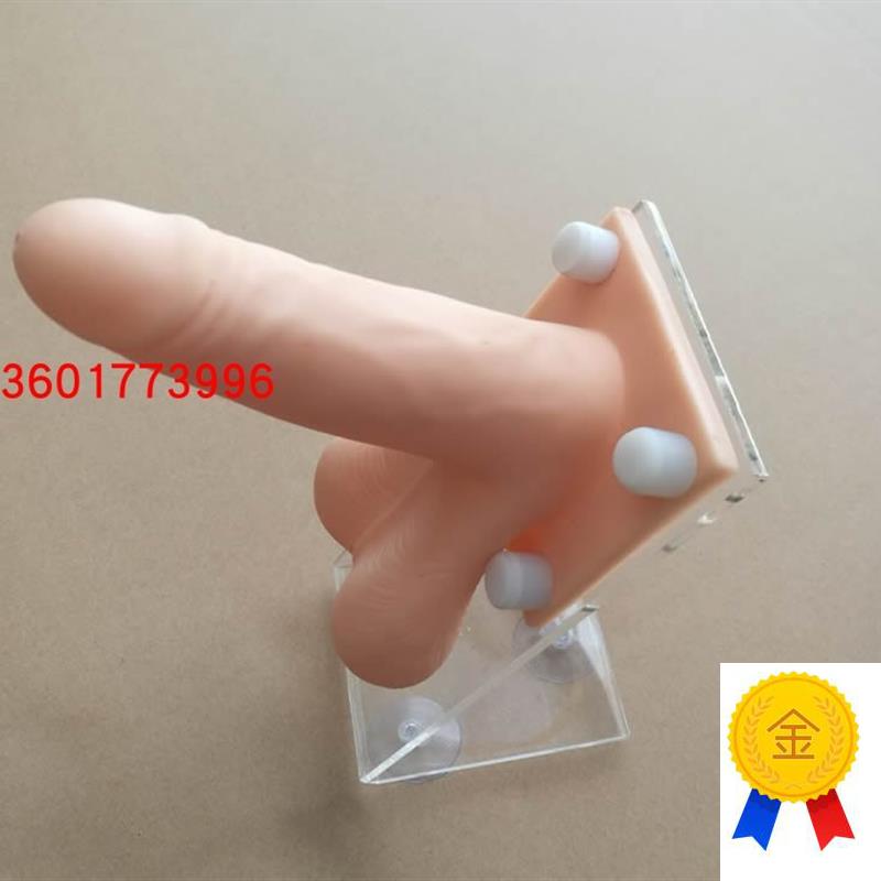 高级计划生育教育模型计生办宣传示I教模型男性避孕穿戴练习