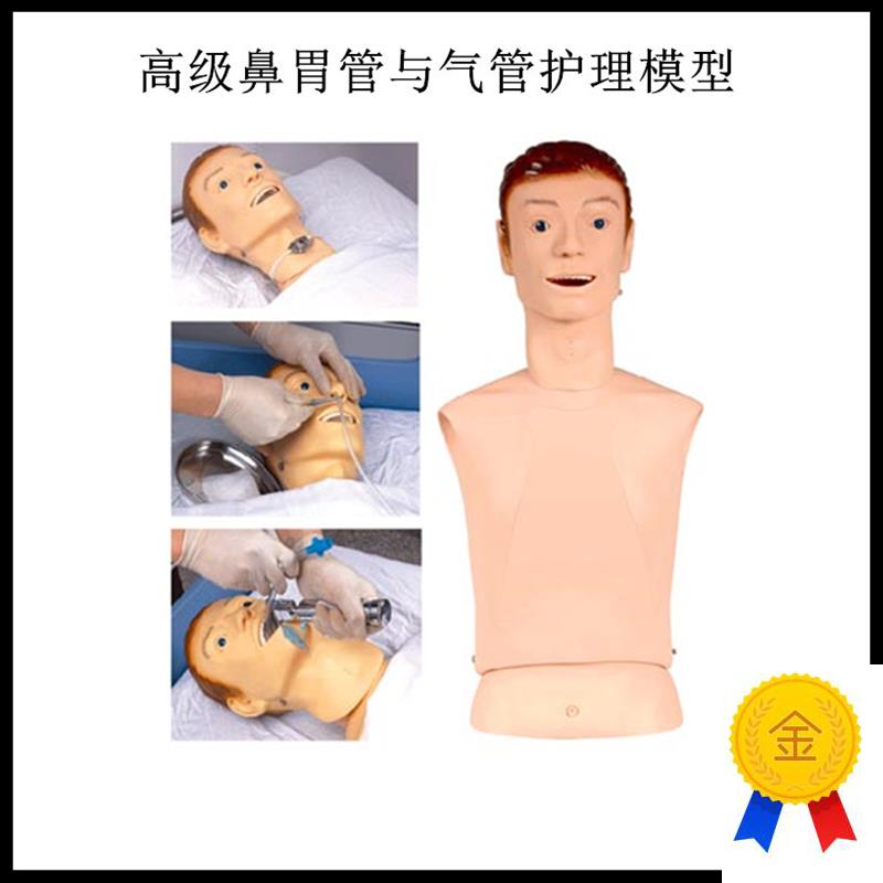 高级鼻胃管与气j管护理模型鼻胃管护理模型鼻饲模型护理教学