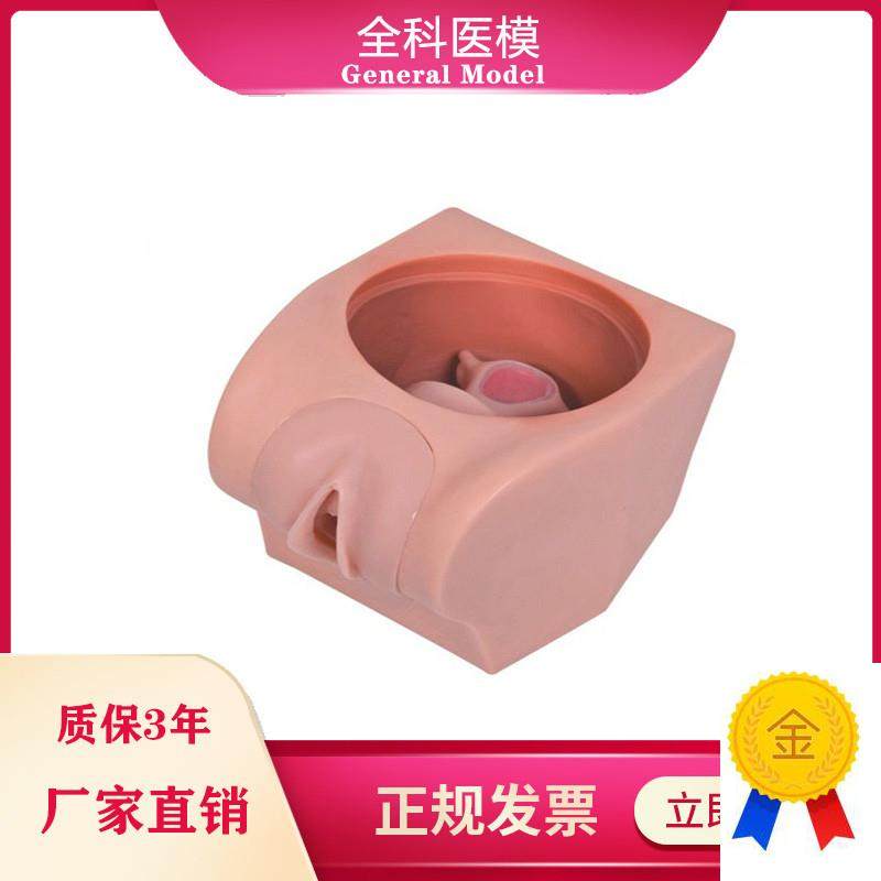计划生育教育模型宫内x避孕器上环训练指导道具模具