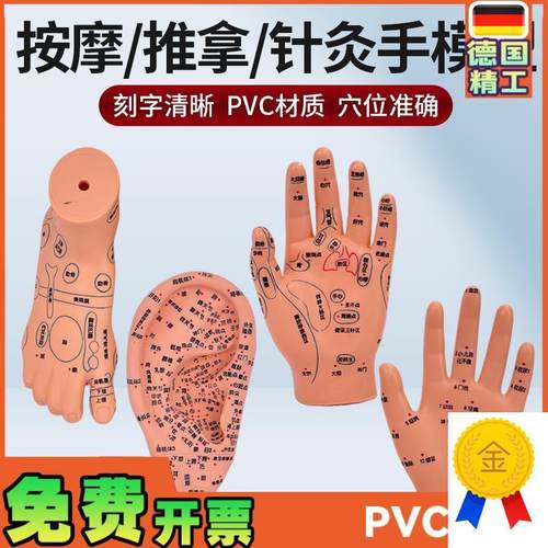 脚穴位模型足部底耳m模耳朵手经络手部推拿针灸足底脚模反射眼睛
