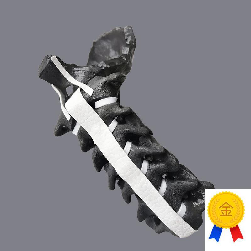 康泰仿真骨模型颈椎假骨医学X光CTD影像3D成像重建骨科术前实训用