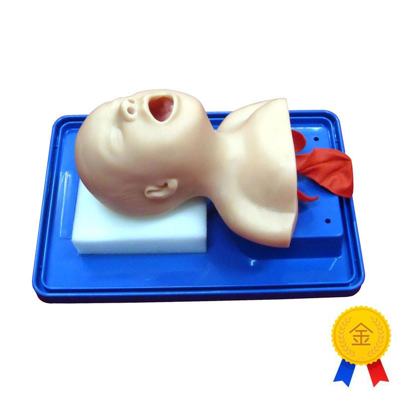 新生儿气管插管模型小E儿气道插管训练模型