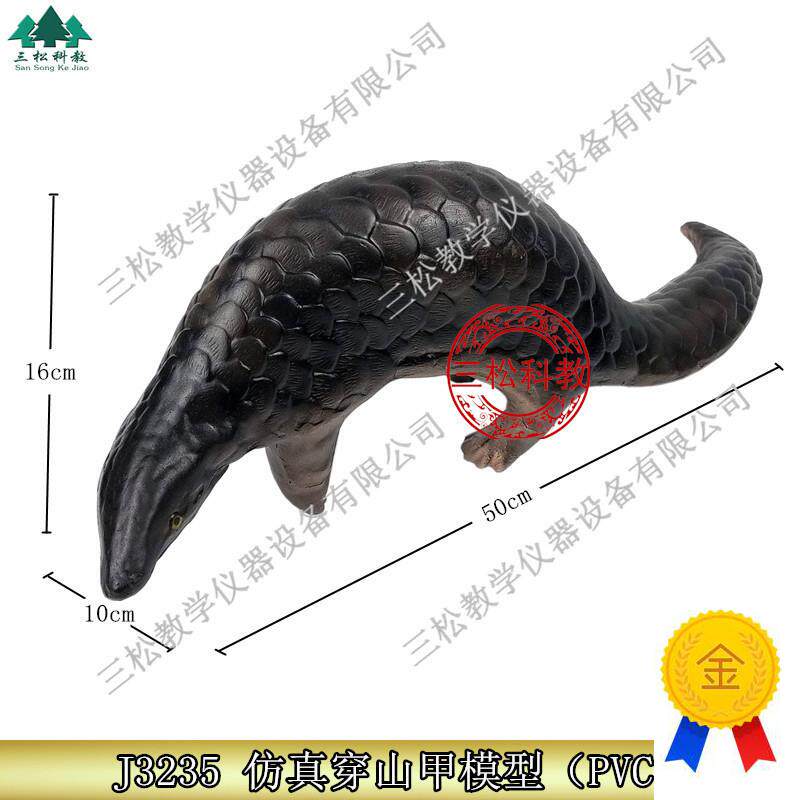 3235仿真穿山甲m模型生物教学科教仪器初高中标本动物摆件展示