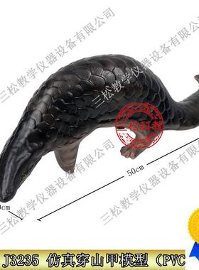 3235仿真穿山甲m模型生物教学科教仪器初高中标本动物摆件展示