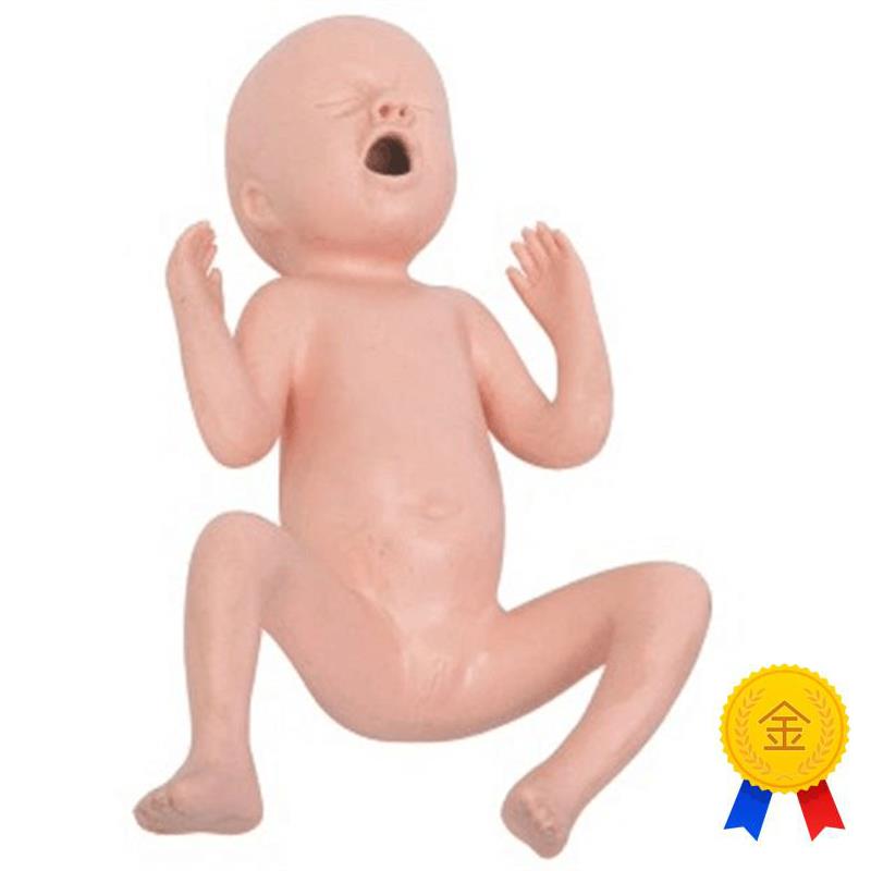 高级24周d早产儿模型高级30周早产儿模型早产儿护理模型