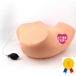 ENOVO颐诺妇科训o练模型妇科常规检查教学妇科双合诊检查操作练习