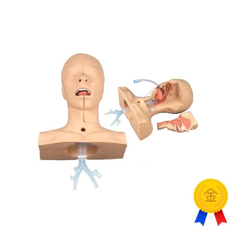 高级吸痰练习模型鼻腔口腔插y管吸引训练模型医学用操作教学模型