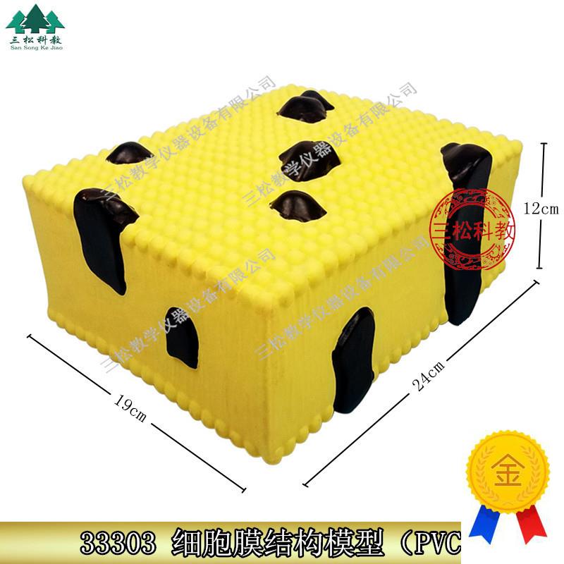 细胞膜结构模型J33p303初中高中生物实验器材中学教学仪器
