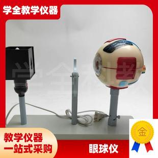 眼球仪人体d眼球仪模型晶状体曲率可变眼球成像结构教学仪器实验