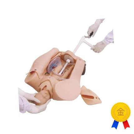 上海医模YM/F53高级手摇M分娩机制示教模型