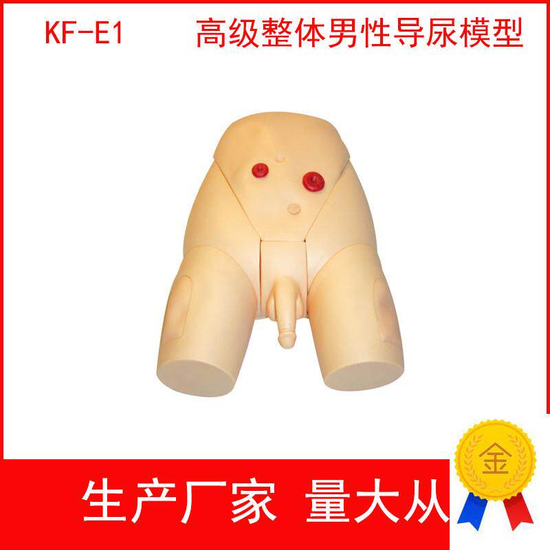 高级整体男女导尿模具,高级整体男性导尿模型女性导.尿训练模型