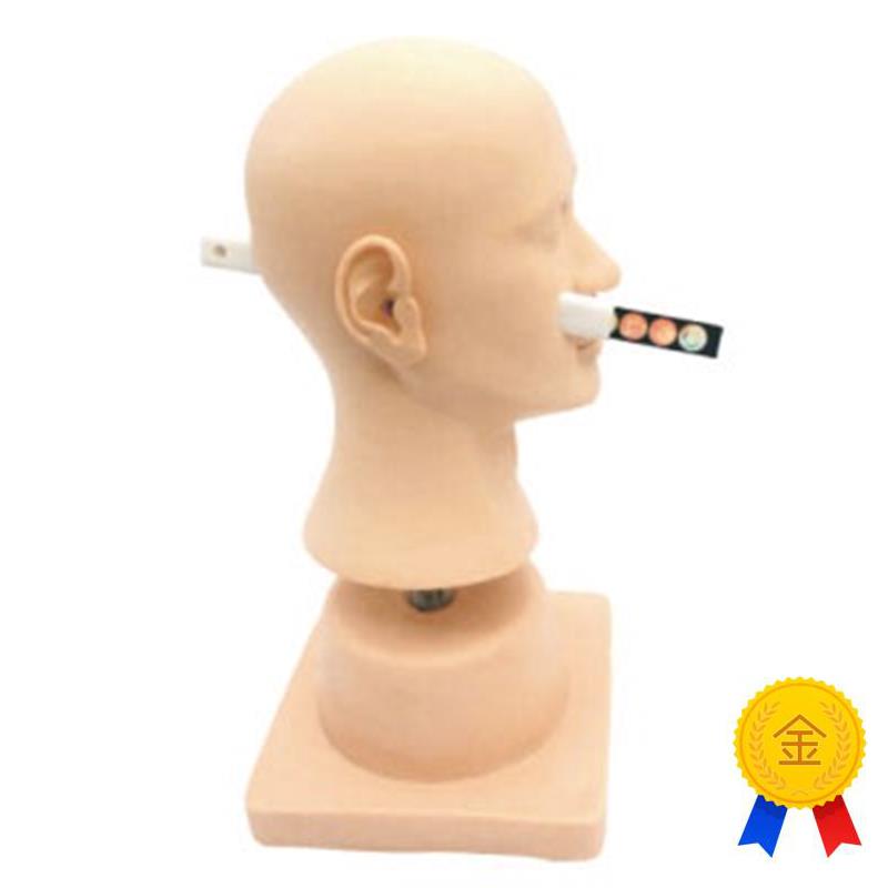 耳道诊断耳部病变耳部检查耳K部清洗耳部训练模型