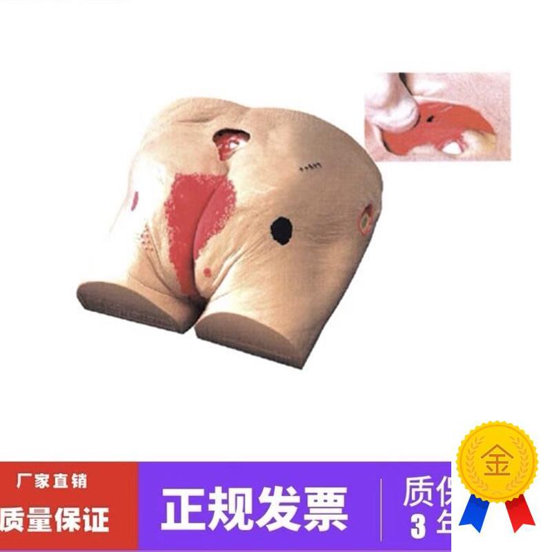 褥疮护理模型高级老年人t褥疮压疮护理模型医学用教学模型教具