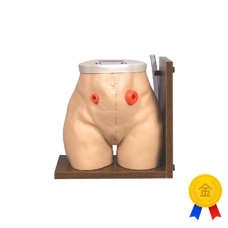 瘘管造口术护理模型结肠回肠造瘘口冲洗教学N家政培训训练假人模