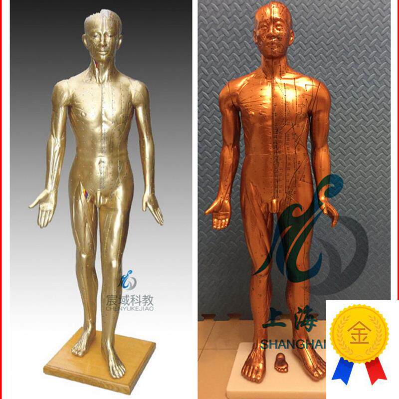 超清晰经络通针灸铜w人人体穴位模型中医针灸人模
