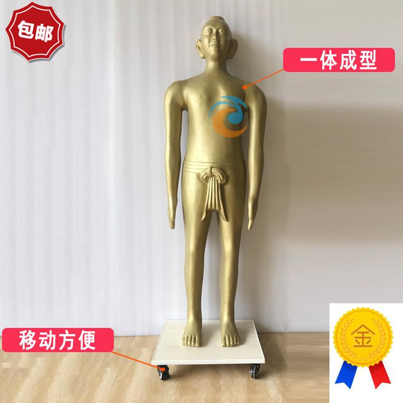 展览仿古针灸铜人人体经络穴位模型中医摆件文字清晰中医Z馆高166