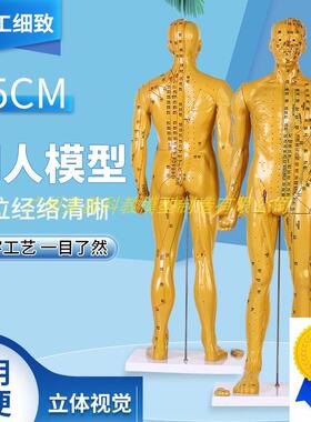 85cm超清晰经络通针灸铜人x体穴位模型中医针灸人体模型十二经络