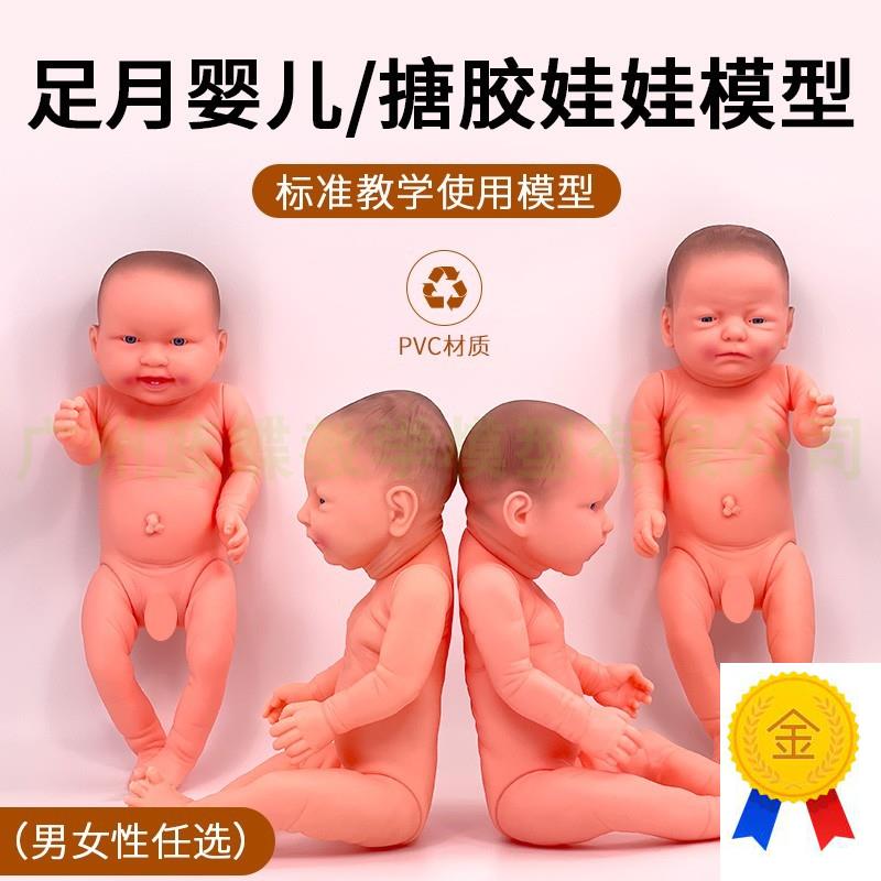 塑胶入水娃娃仿真软胶婴儿娃娃模型家D政月嫂培训用可抚触洗澡52C