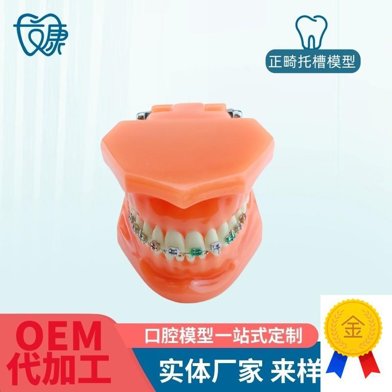 正畸错位牙齿模型牙齿矫正模型厂家直供I口腔教学模型牙齿托槽矫