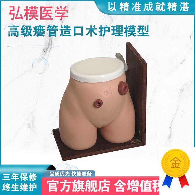 弘模HOM/38高级p瘘管造口术护理模型回肠造瘘口管饲灌肠练习