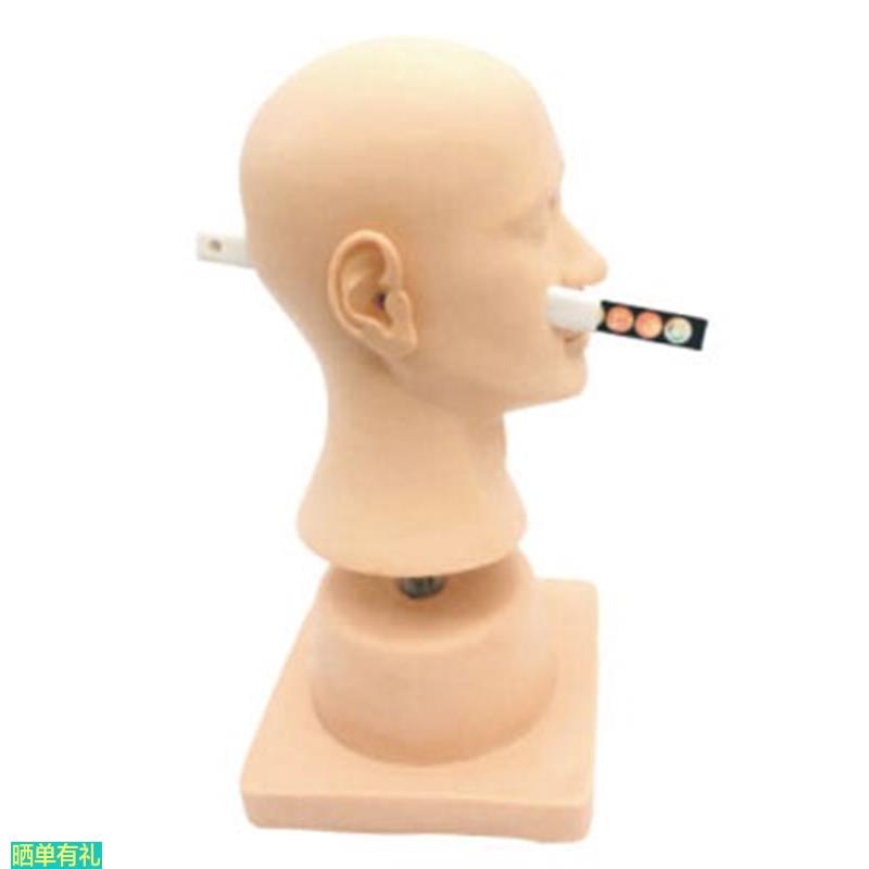 耳道诊断耳部病变耳部检查耳部清洗耳部训练模型