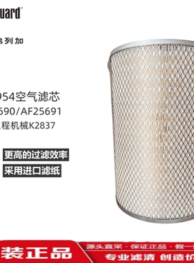 AA2954  AF25690+AF25691 空气滤芯套件适配工程机械K2837
