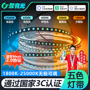 五色智能LED低压灯带已接入米家APP蓝牙Mesh2.0线型灯24V冰蓝灯带