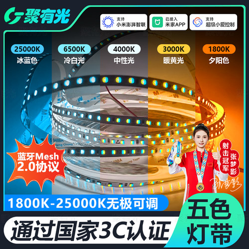 蓝牙Mesh2.0五色智能LED低压灯带