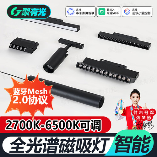 Mesh2.0智能全光谱磁吸轨道灯