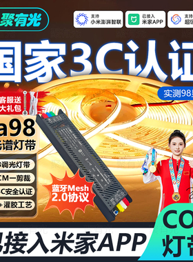 过3C认证已接入米家APP全光谱COB智能灯带Mesh2.0无极调光24v灯带