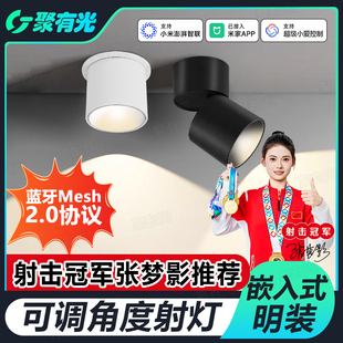 已接入米家APP智能嵌入式 射灯Mesh2.0无极调光涂鸦背景小山丘 明装
