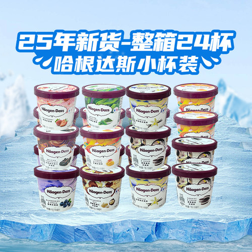 24杯整箱包邮哈根达斯小杯冰淇淋
