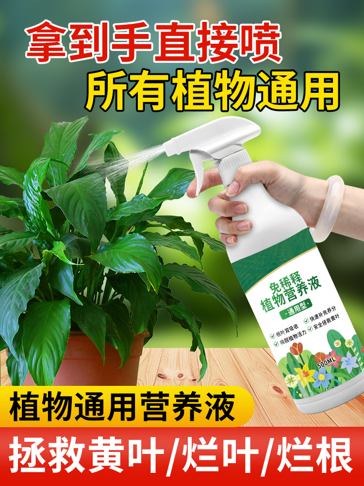 免稀释植物营养液通用型盆栽肥料室内绿植发财树养花卉叶面喷施肥 鲜花速递/花卉仿真/绿植园艺 家庭园艺肥料 原图主图