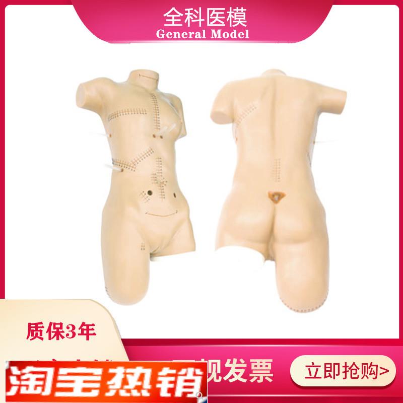 外科缝合包扎展示模型全身外科清创切开缝合拆线换药操作训练模型