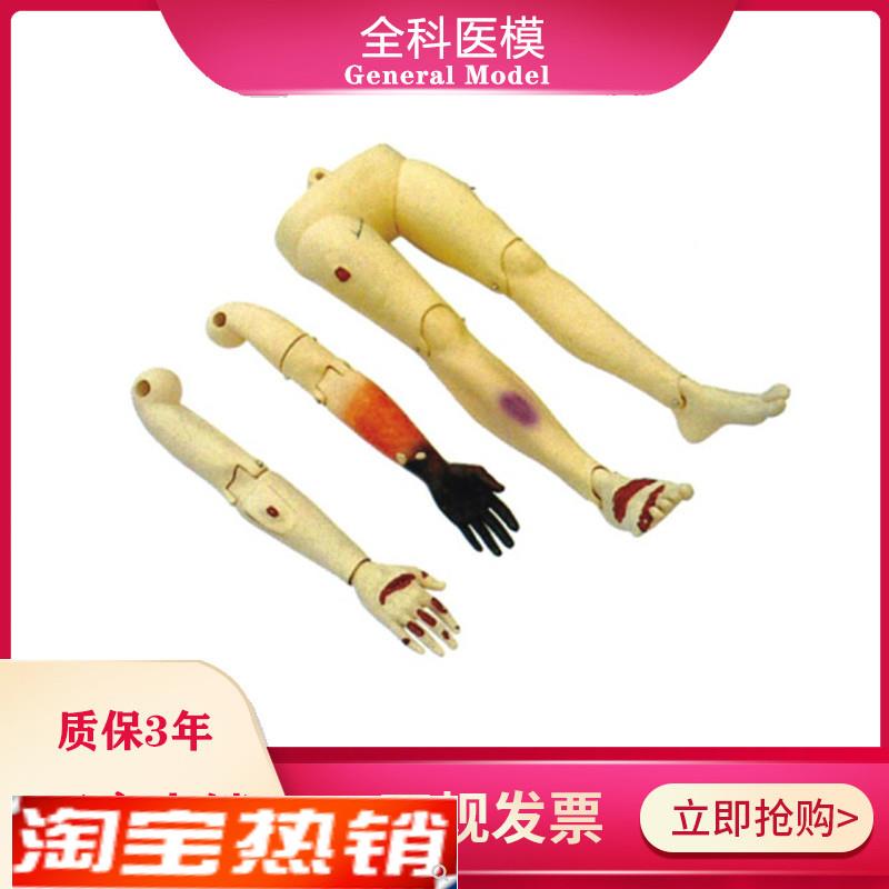 人体创伤四肢模型