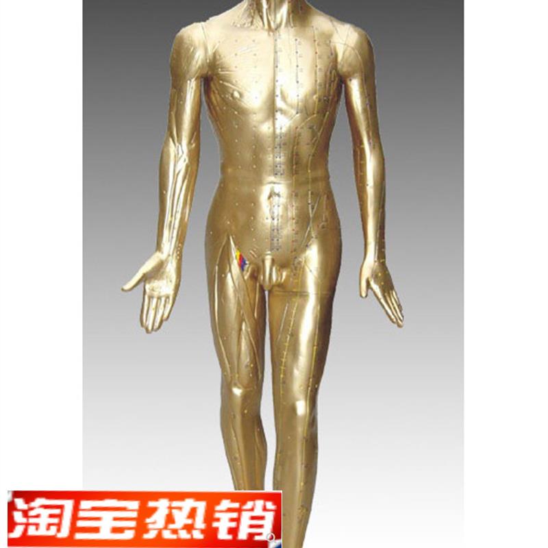 178CM针灸铜人模型人体针灸模型针灸穴位模型针灸模型铜人模型