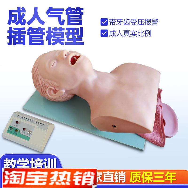 高级气管插管训练模型带电子报警厂家直销品质保证