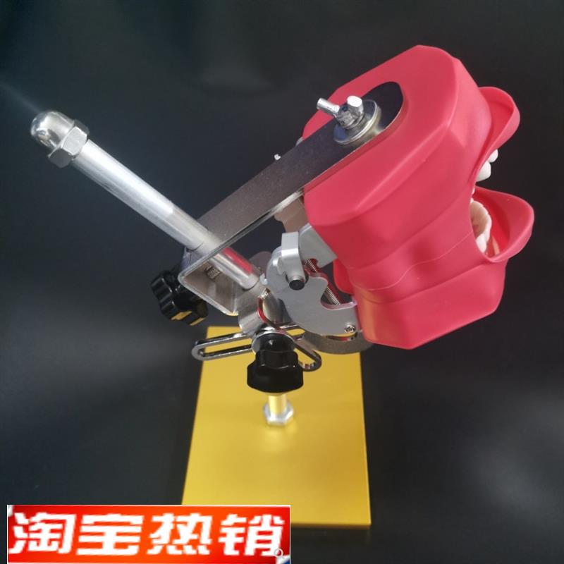 牙科新款商用牙套牙口腔器械离体牙备牙根管排龈开髓模型练习支架