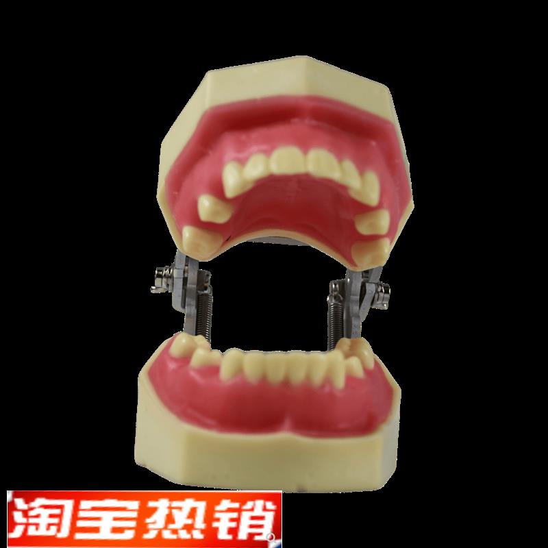 种植模型口腔牙科牙齿模型备牙练习软牙龈牙模仿真树脂离体缺失牙