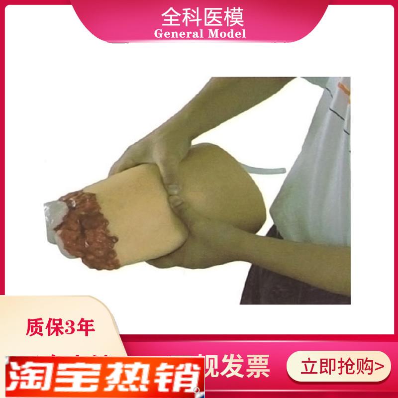下肢外伤断肢止血模型人体大腿断肢包扎止血模具医教学培训 模型