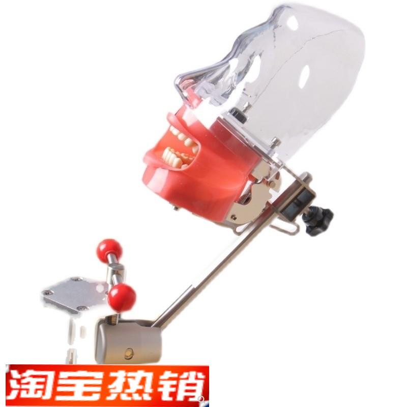 牙科口腔备牙模型器械工具离体牙备牙种植树脂牙简易仿真头模包邮