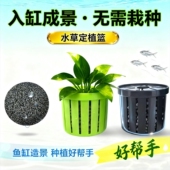 鱼缸水草水培定植篮养草杯花卉固根器水草泥沉底固定神器家用造景
