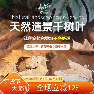 天然造景干树叶爬宠蛇类蜥蜴类龟类造景垫材爬宠箱爬箱水质调节风