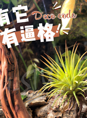 高仿真环境绿植景观假花