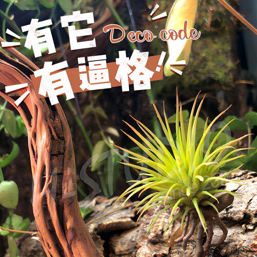 高仿真环境绿植景观假花