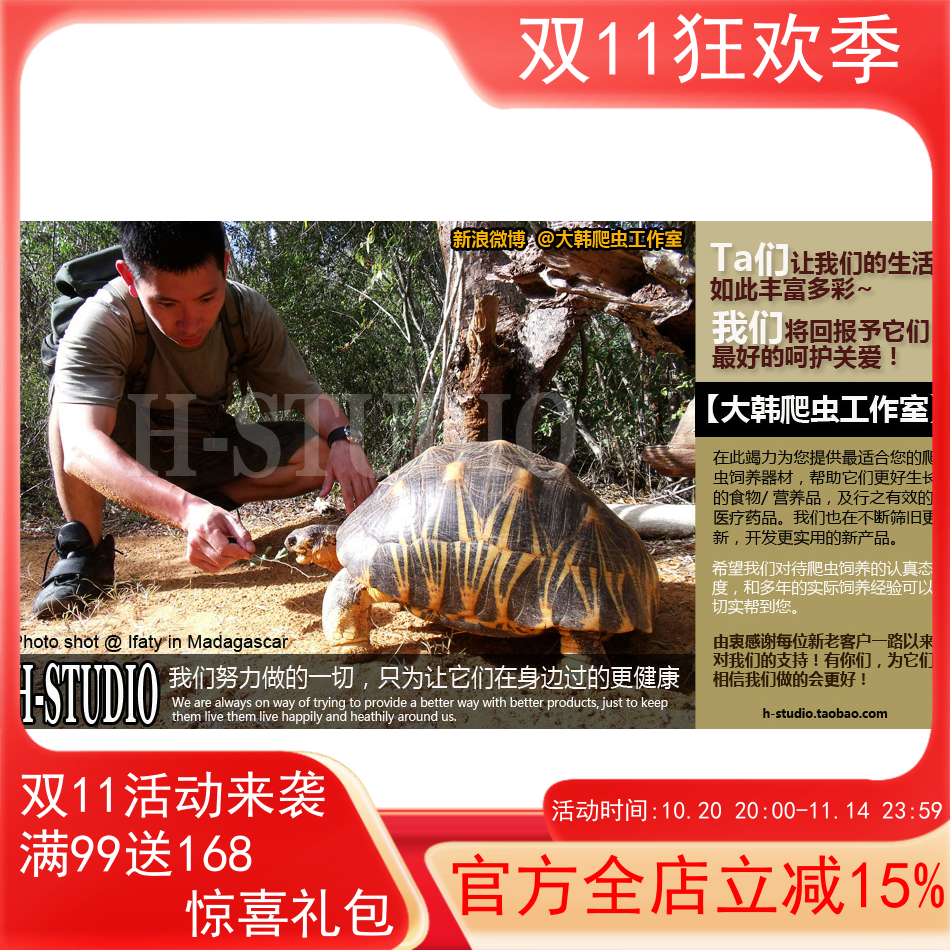 DHREPTILE大韩爬虫尚野宠物补邮费专拍/差价/运费
