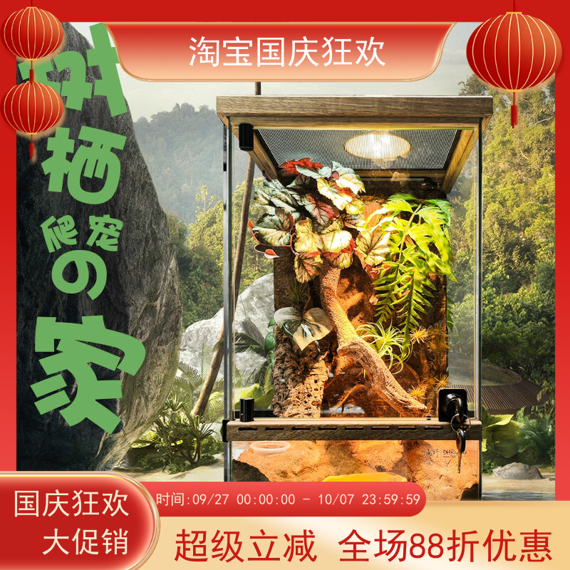 宠物树蛙睫角守宫景观爬虫