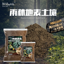 DH雨林地表保湿 土壤垫材爬虫陆龟蜥蜴森林地表无菌天然吸味降解
